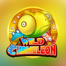 Wild Chameleon
