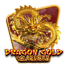 Dragon Gold