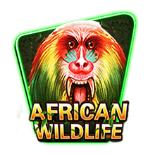 African Wildlife