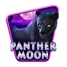 Panther Moon
