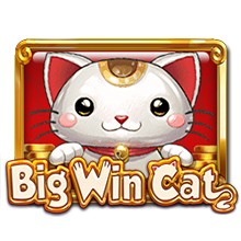 Big Win Cat