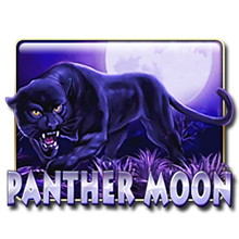 Panther Moon