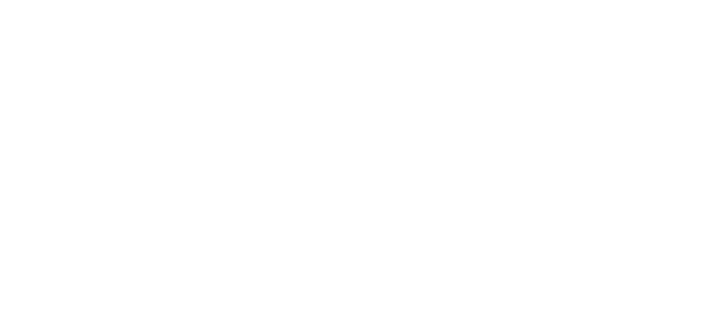 FastSpin