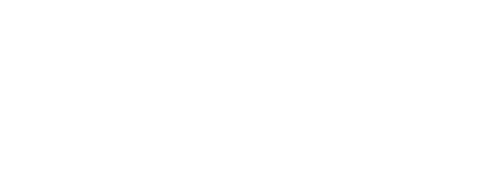 FC Gaming